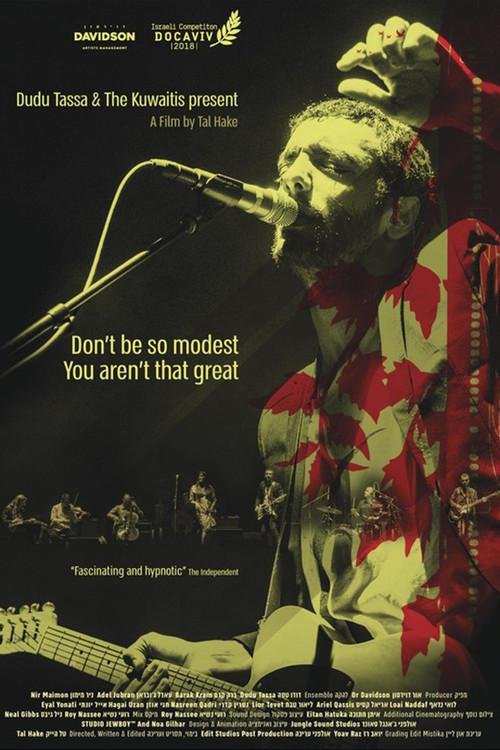 Don't Be So Modest You Aren't That Great (2018) poster