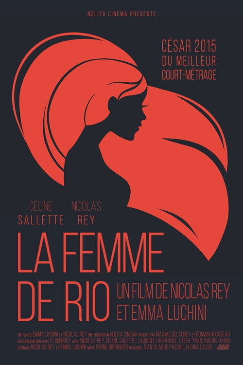 La femme de Rio (2013) poster