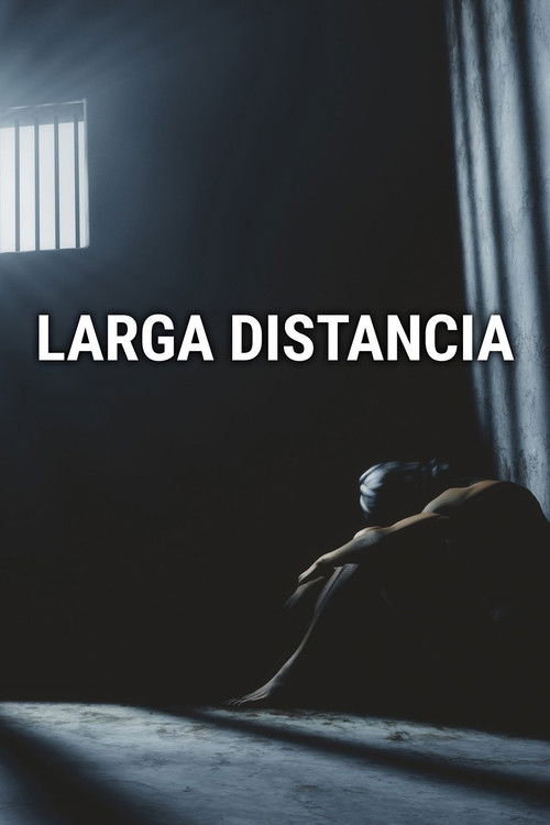 Larga distancia (1997) poster