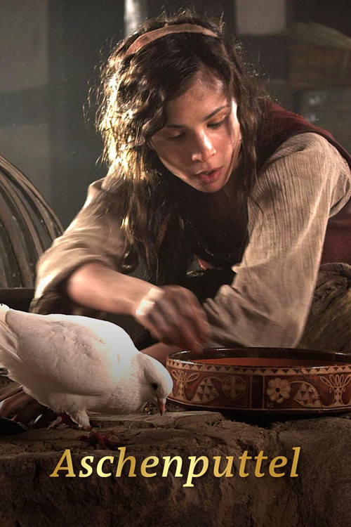 Aschenputtel (2011) poster