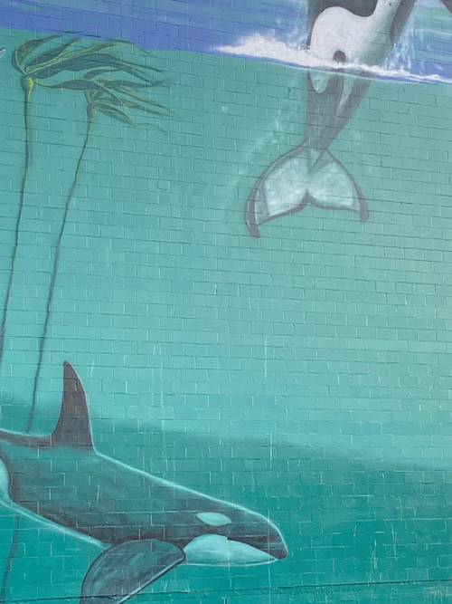 The Far Country (2024) poster