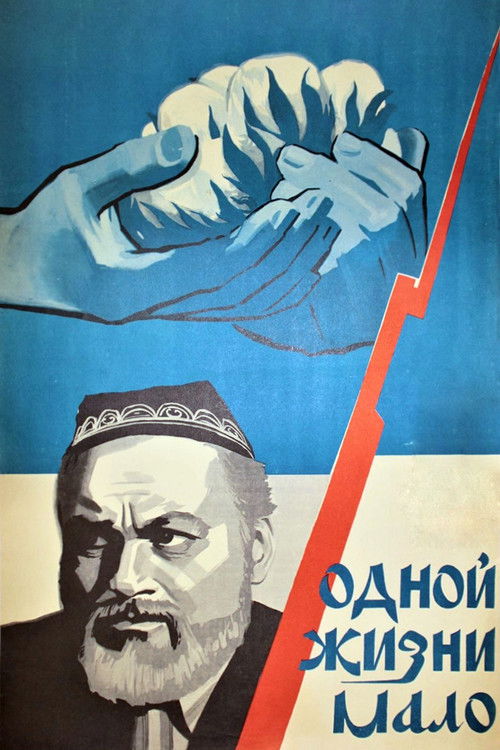 One Life is Not Enough (1974) poster