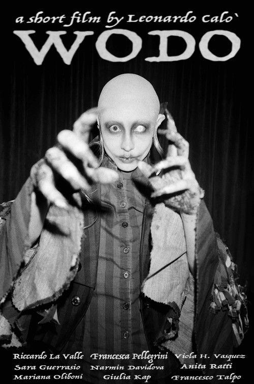 Wodo (2024) poster
