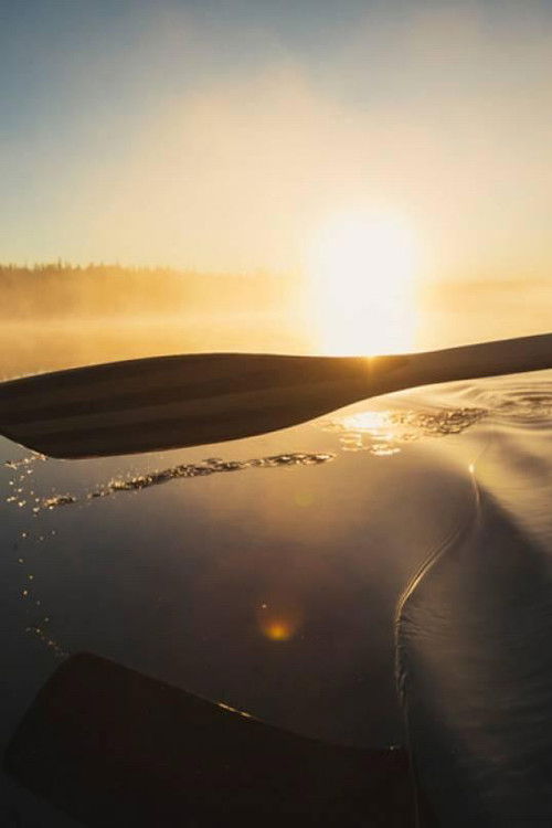 We Belong To It poster