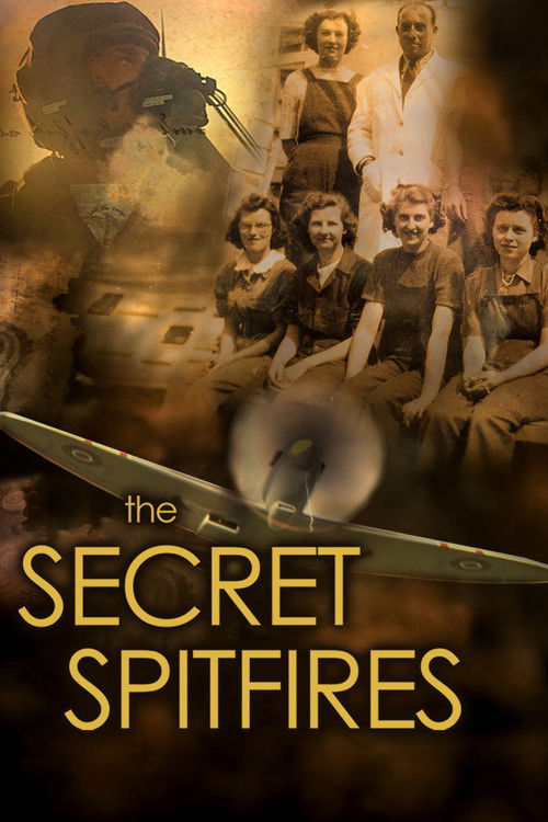 The Secret Spitfires (2017) poster