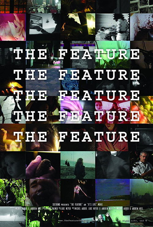 The Feature (2008) poster