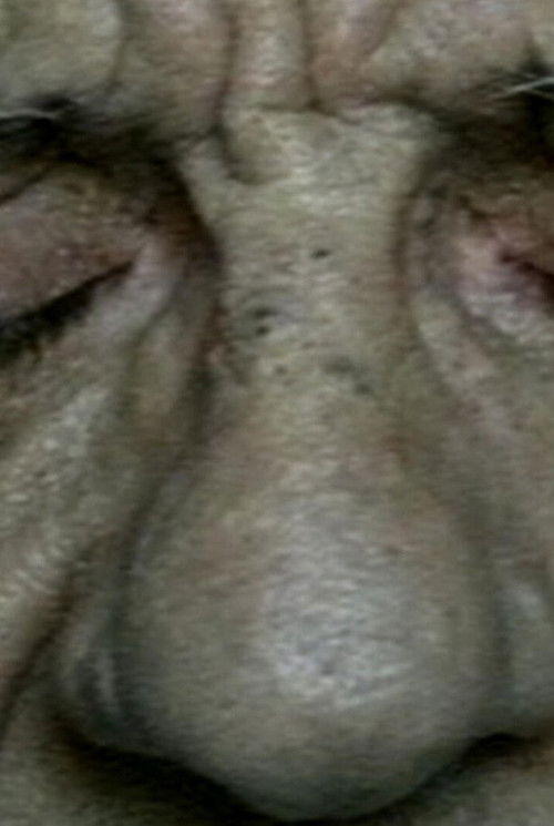 A Prayer for Nettie (1995) poster