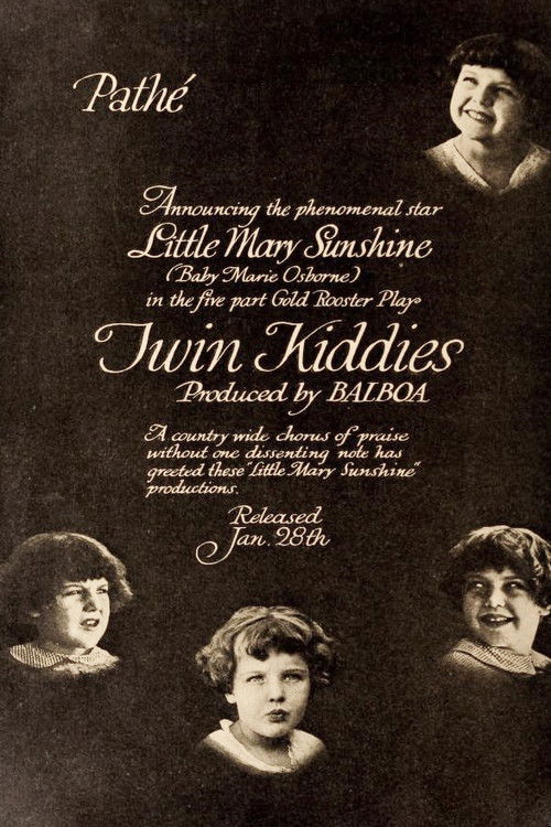 Twin Kiddies (1916) poster
