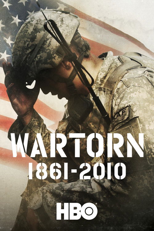 Wartorn: 1861-2010 (2010) poster