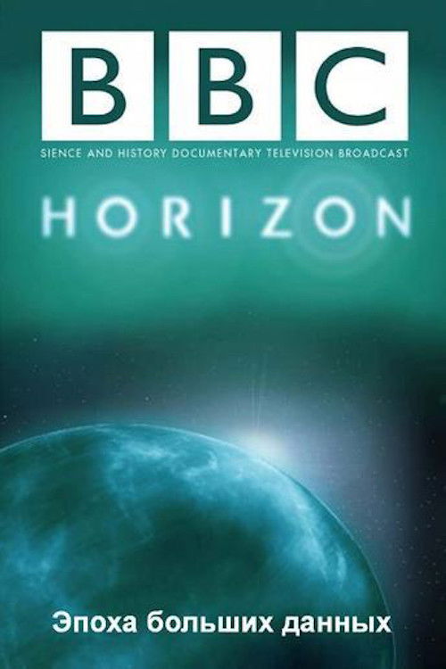 The Age of Big Data (2013) poster