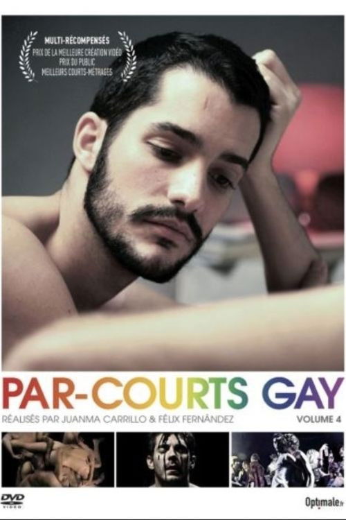 Par-courts Gay, Volume 4 (2015) poster