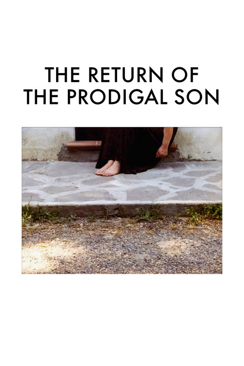 The Return of the Prodigal Son (2003) poster