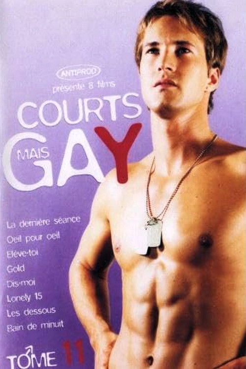 Courts mais Gay : Tome 11 (2006) poster
