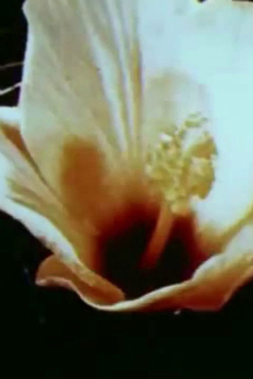 All Her Beautiful Green Remains In Tears (2018) poster