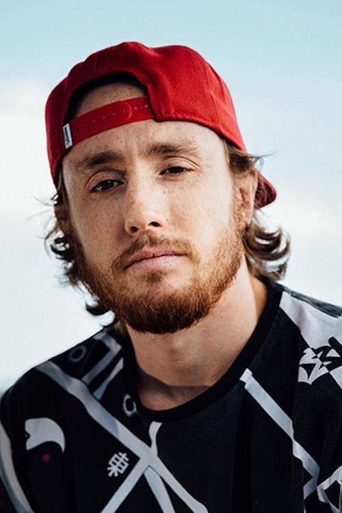 Fallen Bird (2015) poster