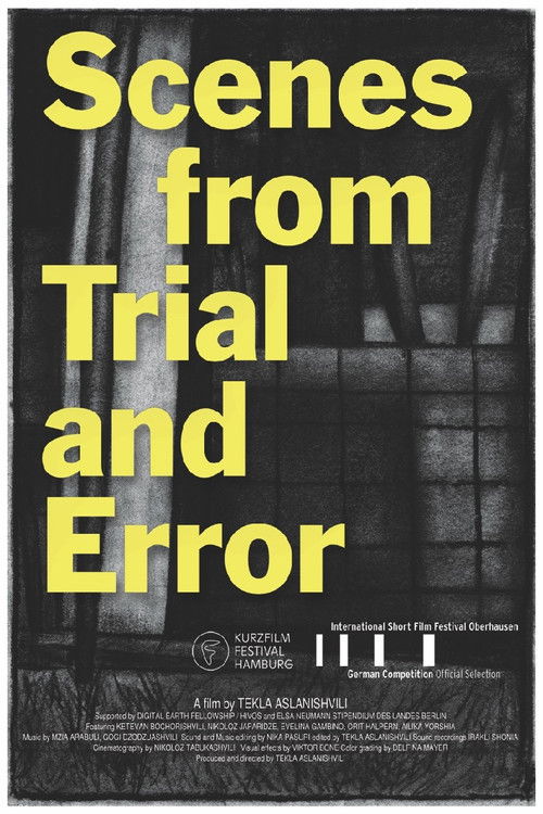 Scenes from Trial and Error (2020) poster