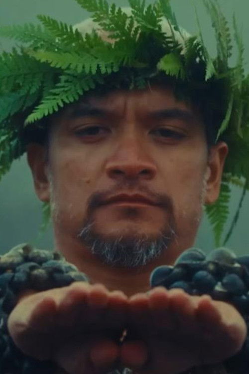 Hula is Hawaii (2024) poster