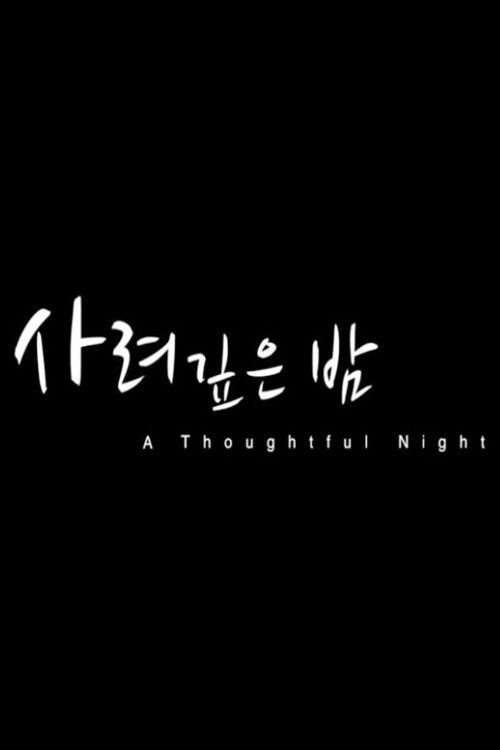 A Thoughtful Night (2013) poster