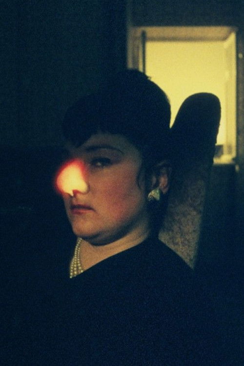 Fascinating Doll's House (1987) poster