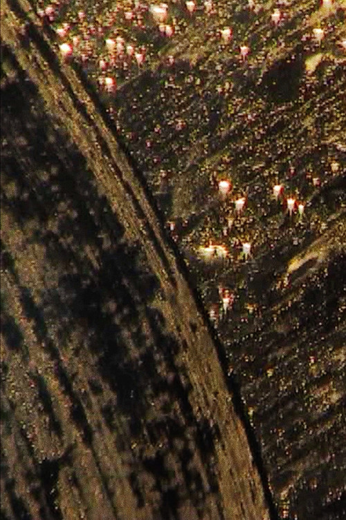 meditaciones en una emergencia (2019) poster