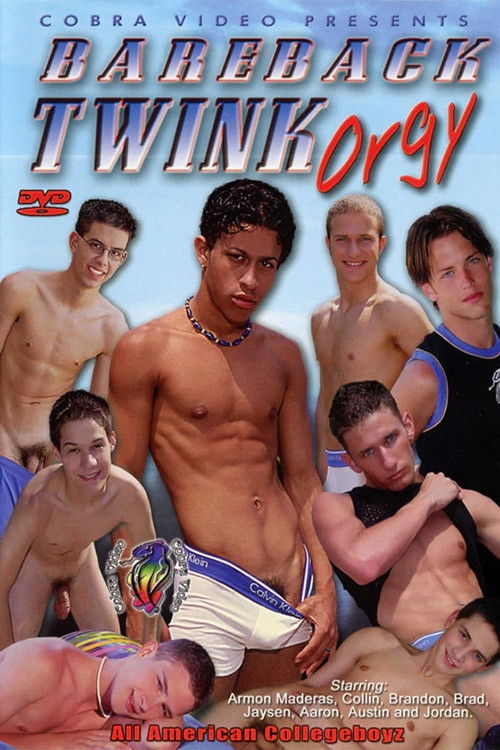 Bareback Twink Orgy (2002) poster