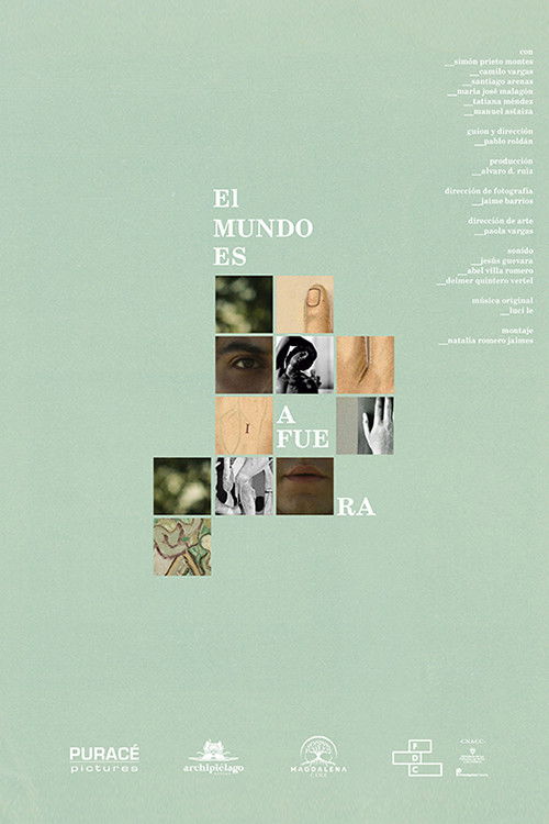 El mundo es afuera (2024) poster