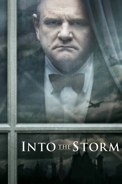 Into the Storm (2009) poster