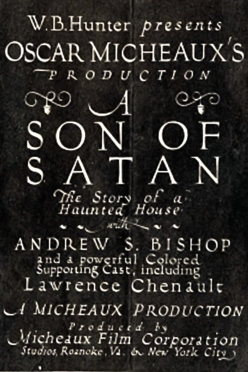 A Son of Satan (1924) poster