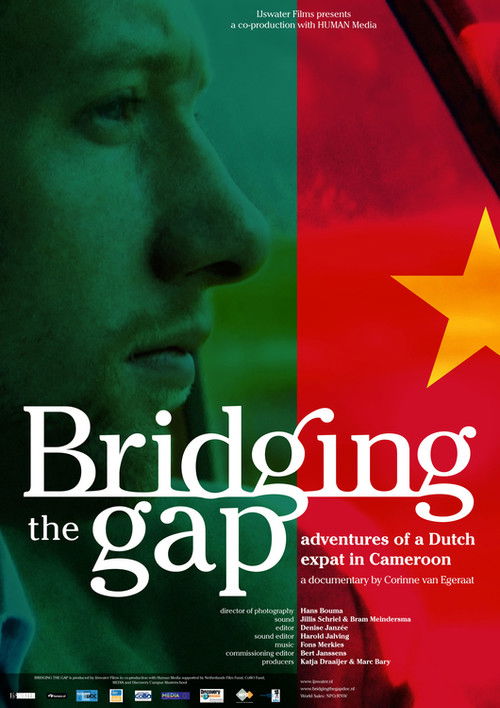 Bridging the Gap (2008) poster