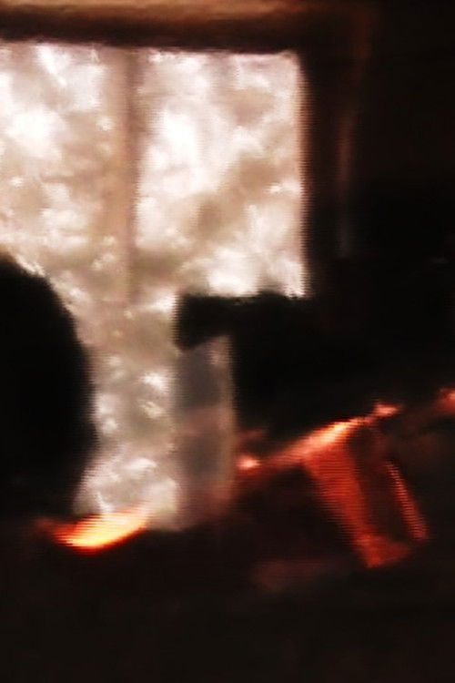 Cottage Movie (2022) poster