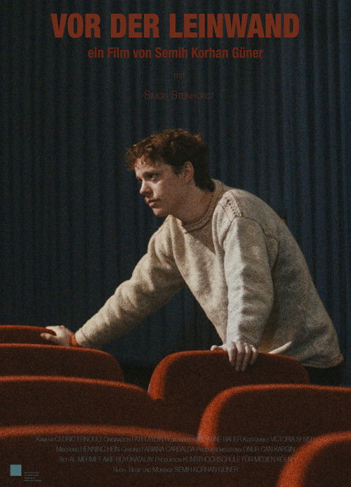 Facing the Screen (2021) poster