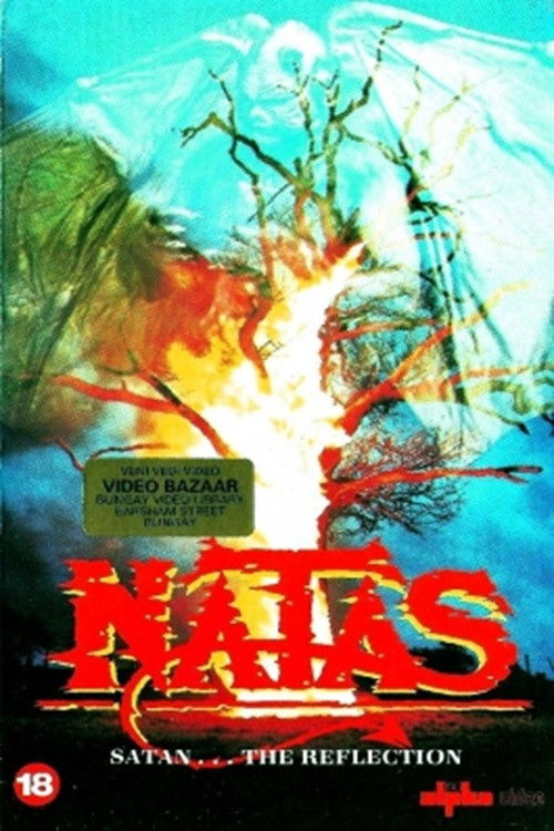 Natas: The Reflection (1986) poster