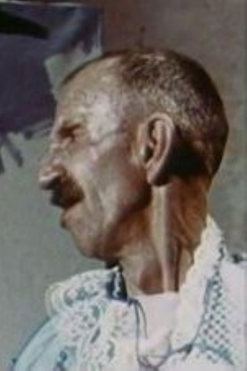 Antonio Ligabue, pittore (1965) poster