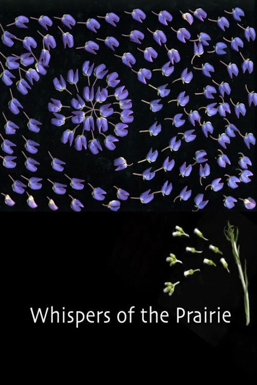 Whispers of the Prairie (2013) poster