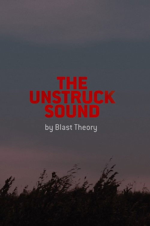 The Unstruck Sound (2024) poster