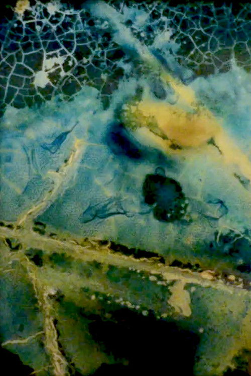 Water Mining (Eaton Canyon) (2021) poster