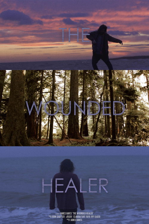The Wounded Healer (2018) poster