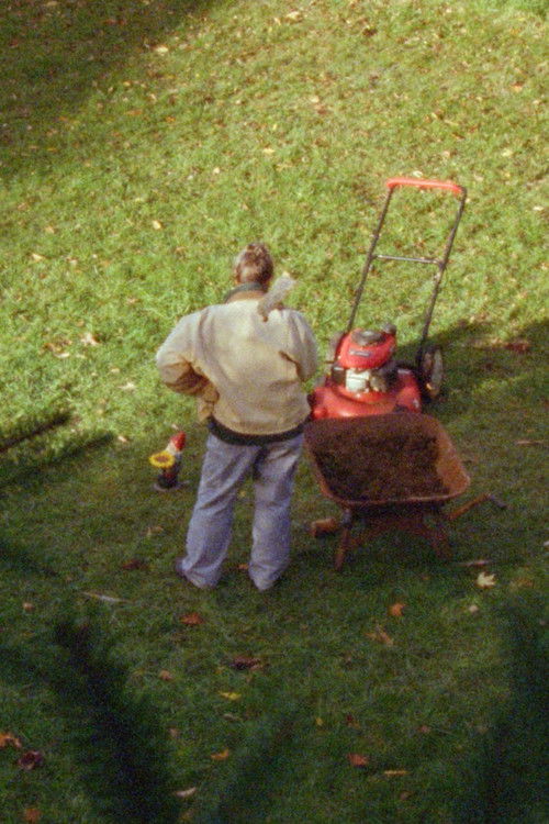 There is a Hole in the Ground (2022) poster