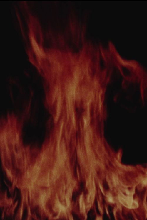 Screen, Projector & Film (1978) poster