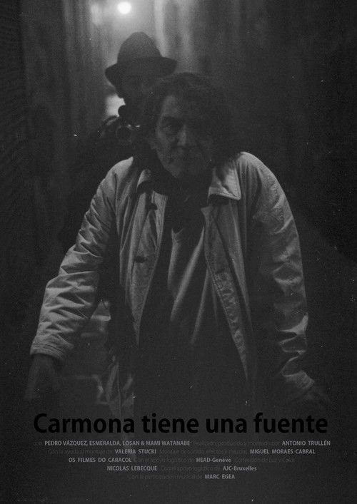 Carmona tiene una fuente (2015) poster