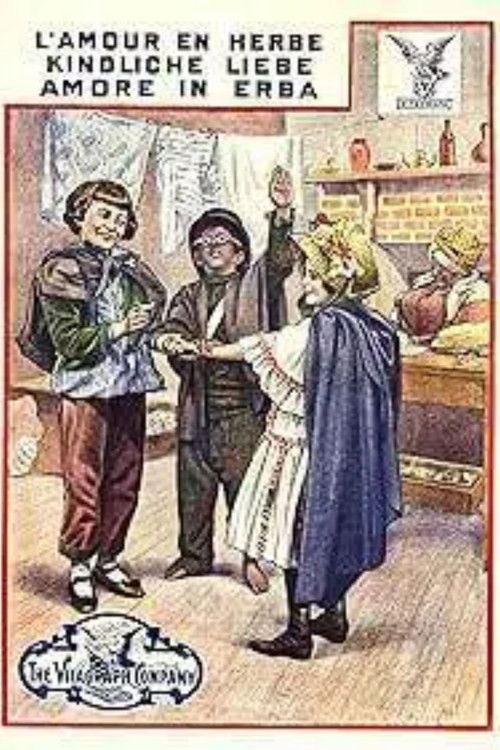 A Juvenile Love Affair (1912) poster