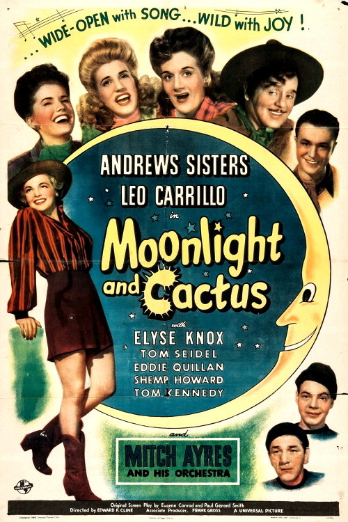 Moonlight and Cactus (1944) poster