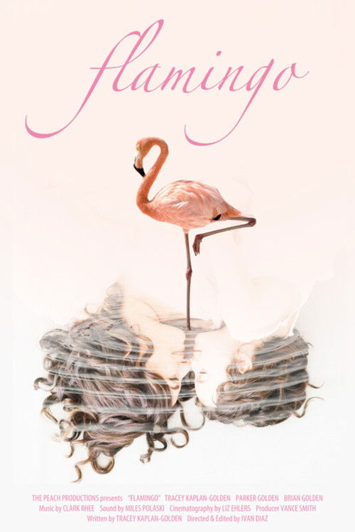 Flamingo poster