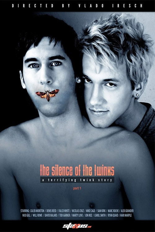 The Silence of the Twinks (2011) poster
