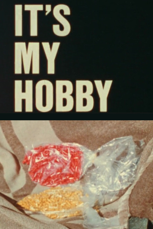 It's My Hobby (1974) poster