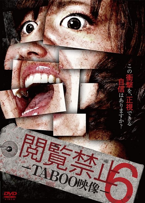 閲覧禁止 6　－ TABOO映像 － (2015) poster