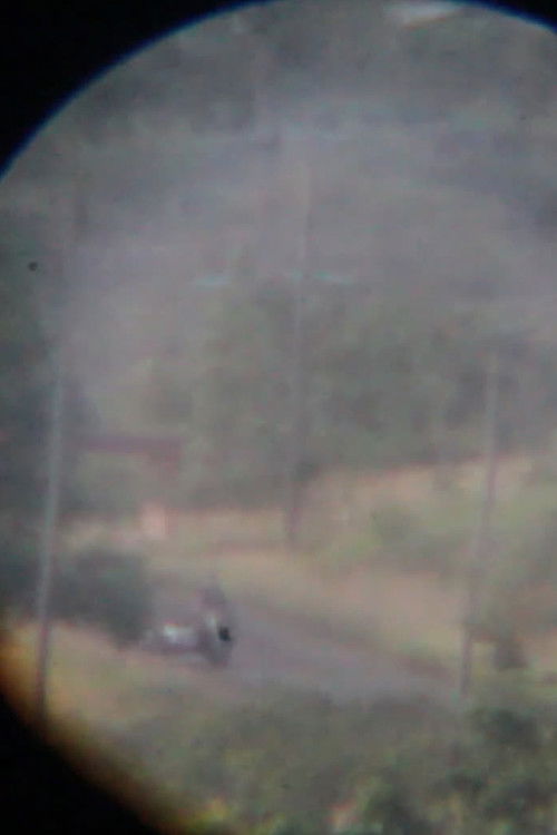 Impossible to Find Something by Looking (2021) poster