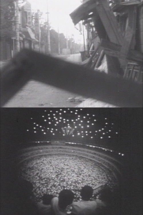 The Mass Collective Bargaining at Nihon University (1968) poster