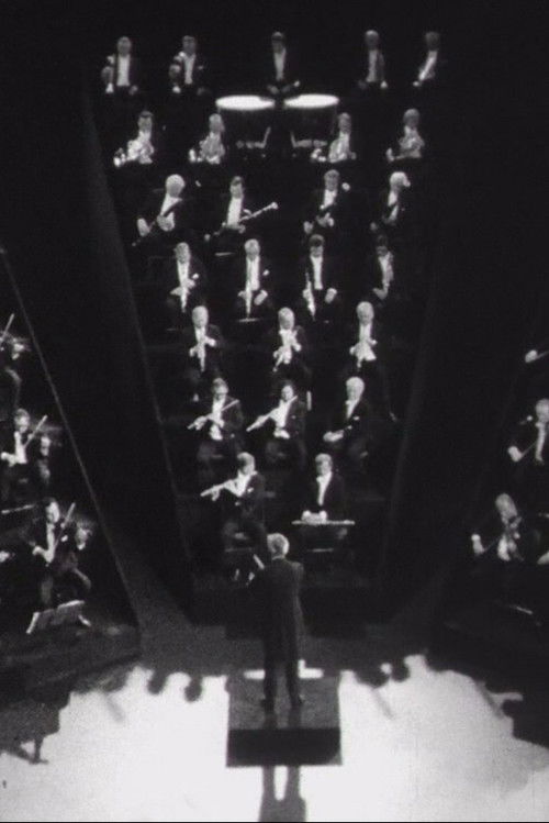 Eroica - Director's Cut (2009) poster