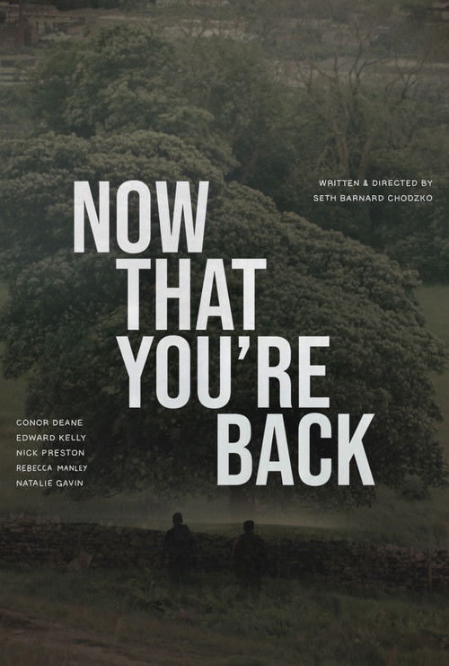 Now That You’re Back poster